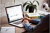 Доработка проекта Криптоинвеста.